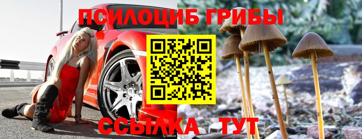 Галлюциногенные грибы ЛСД  Вход с VPN  Галлюциногенные грибы Magic Shrooms  Донской 