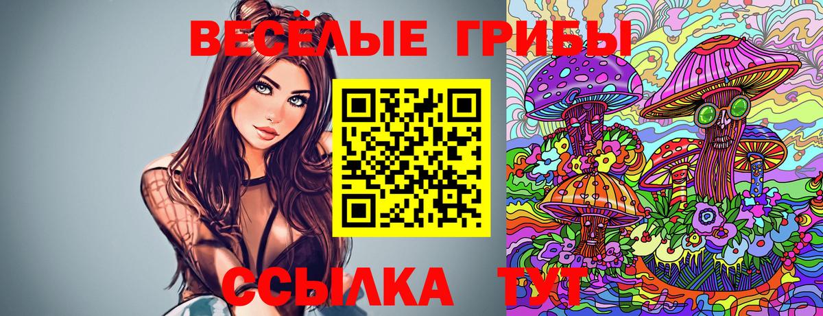 Галлюциногенные грибы MAGIC MUSHROOMS Донской